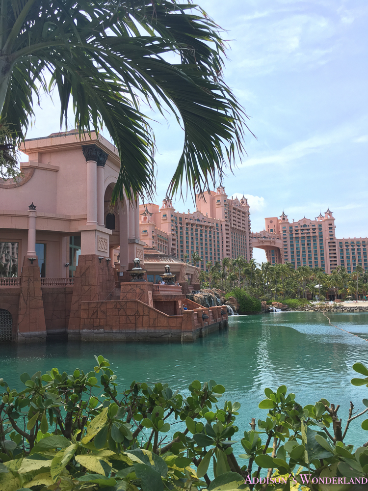The Atlantis Resort My Honest Review Addison S Wonderland