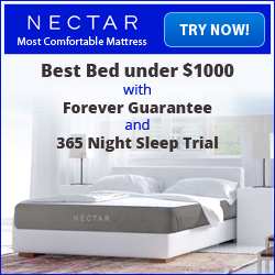 Best Bed under $1000