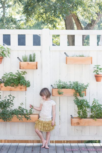 Our Under $40 DIY Outdoor Herb Wall! - Addison's Wonderland