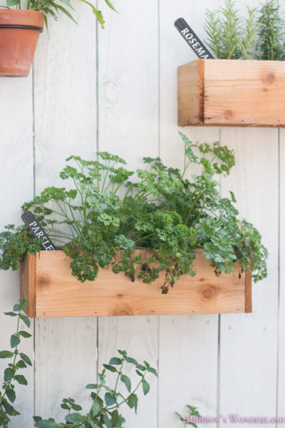 Our Under $40 DIY Outdoor Herb Wall! - Addison's Wonderland