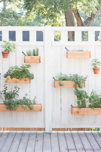 Our Under $40 DIY Outdoor Herb Wall! - Addison's Wonderland